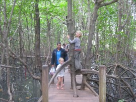 The children Martin and China in the mangroves