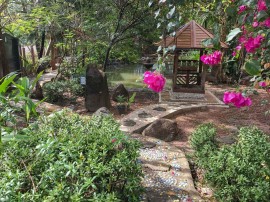 The gardens at Faasai