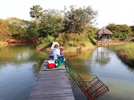 guests enjoying a picnic by the lake