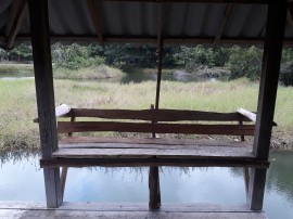 Peaceful scene at the wetlands