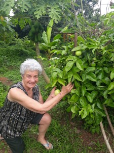 The resort has organic gardens and wildlife sanctuary nearby for guests to visir