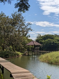 White Water Lake - the eco farm belong to the resort